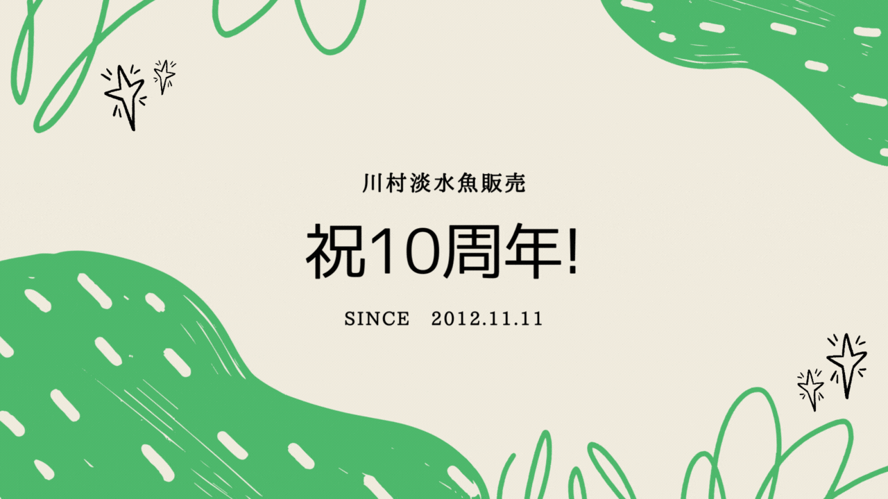 【記念・クーポン】川村淡水魚販売　10周年＆リニューアルオープン　クーポン配布いたします