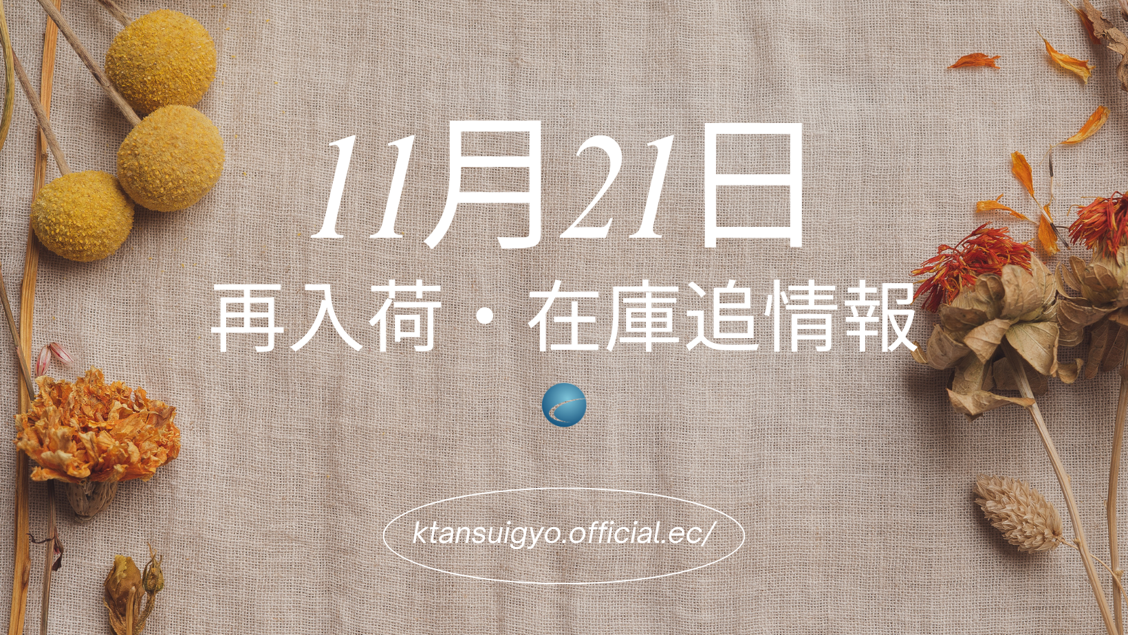 【再入荷・生体】2024年11月21 日