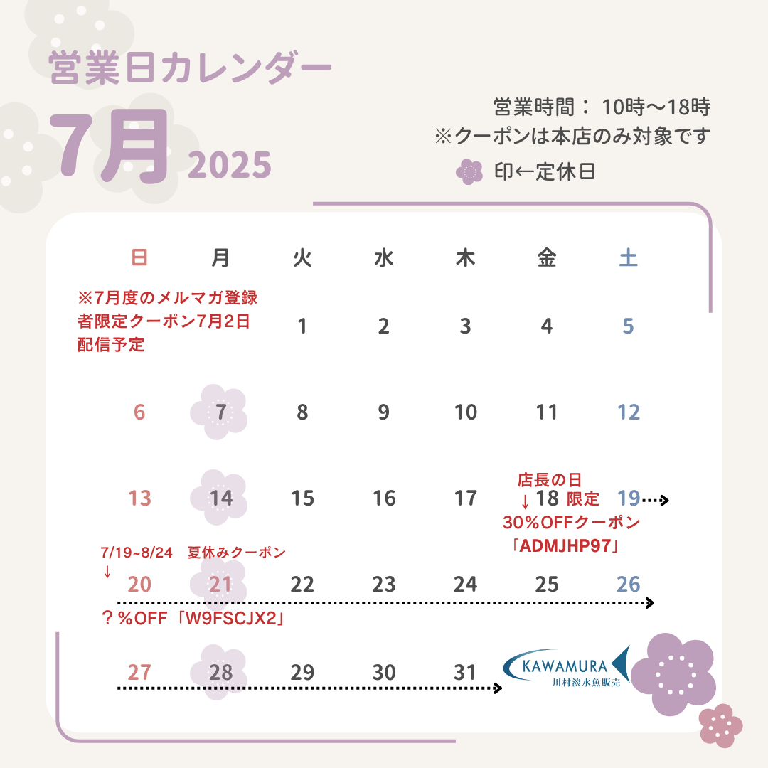 【2025年7月・カレンダー】営業案内