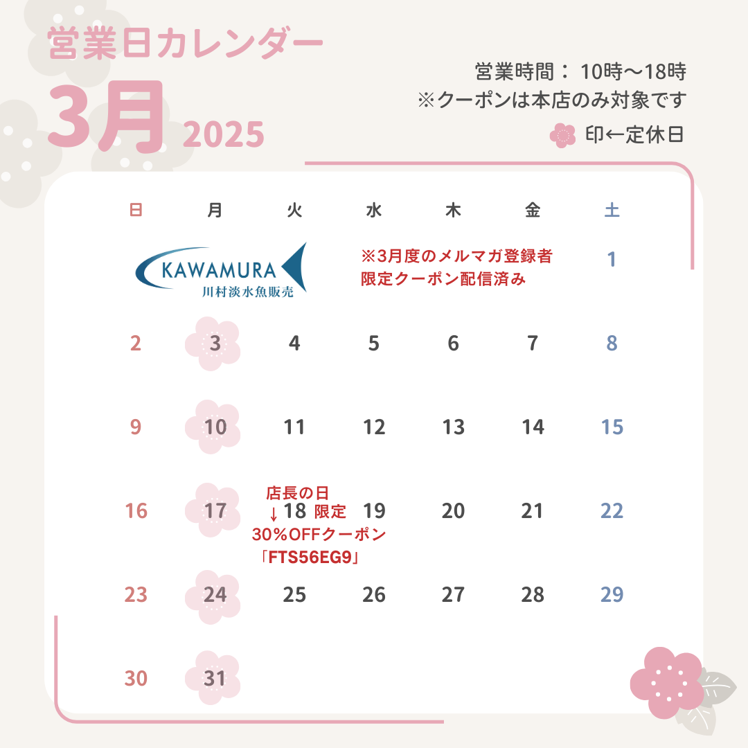 【2025年3月・カレンダー】営業案内