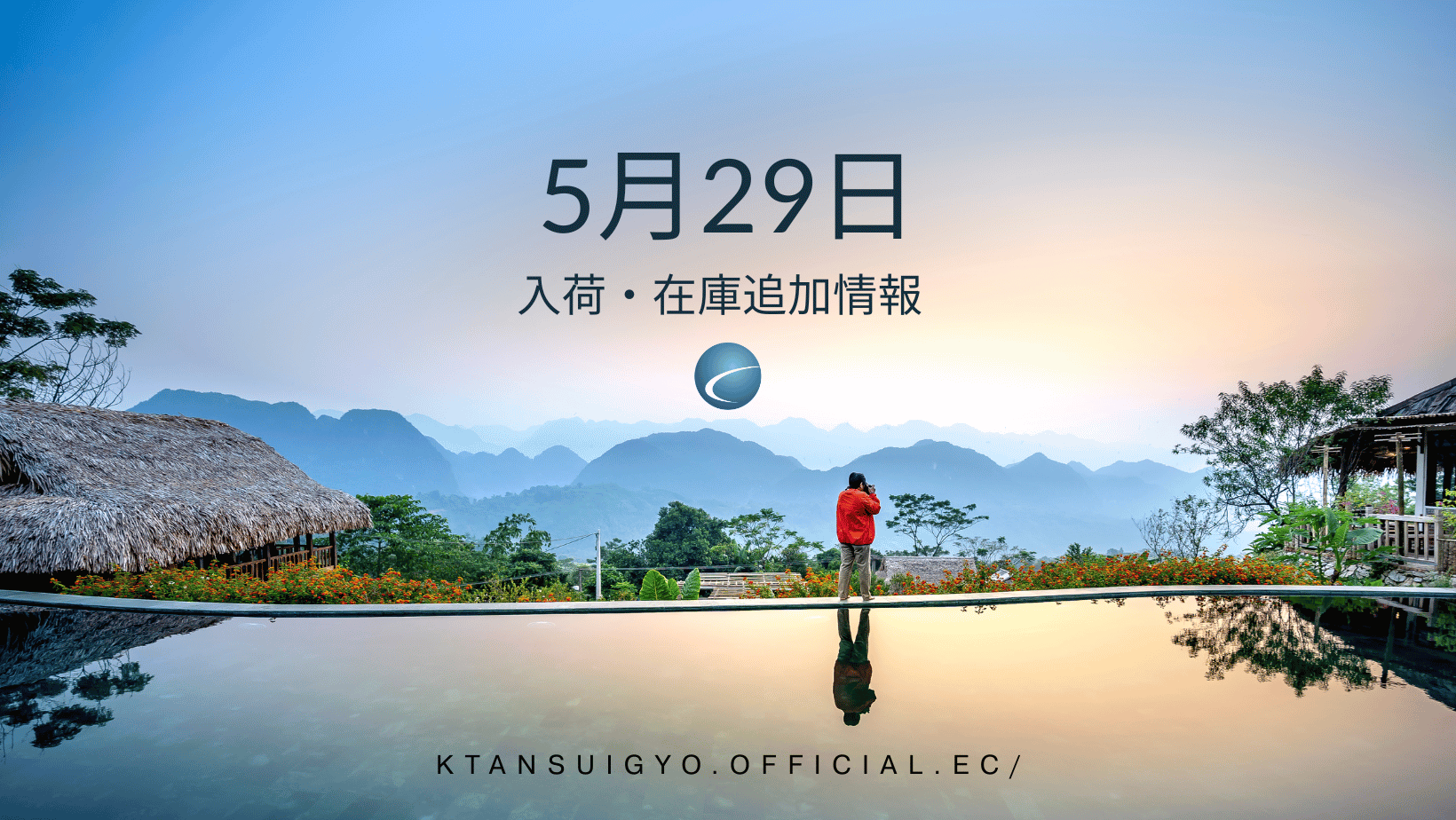 【再入荷・生体】2025年5月29日