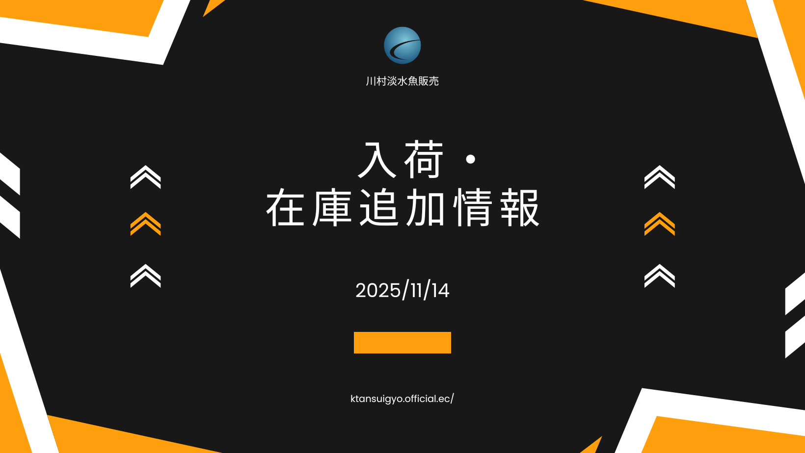 【入荷・生体】2025年11月14日
