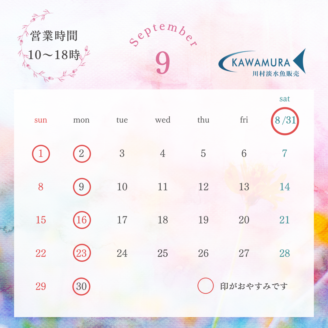 【2024年9月・カレンダー】営業案内