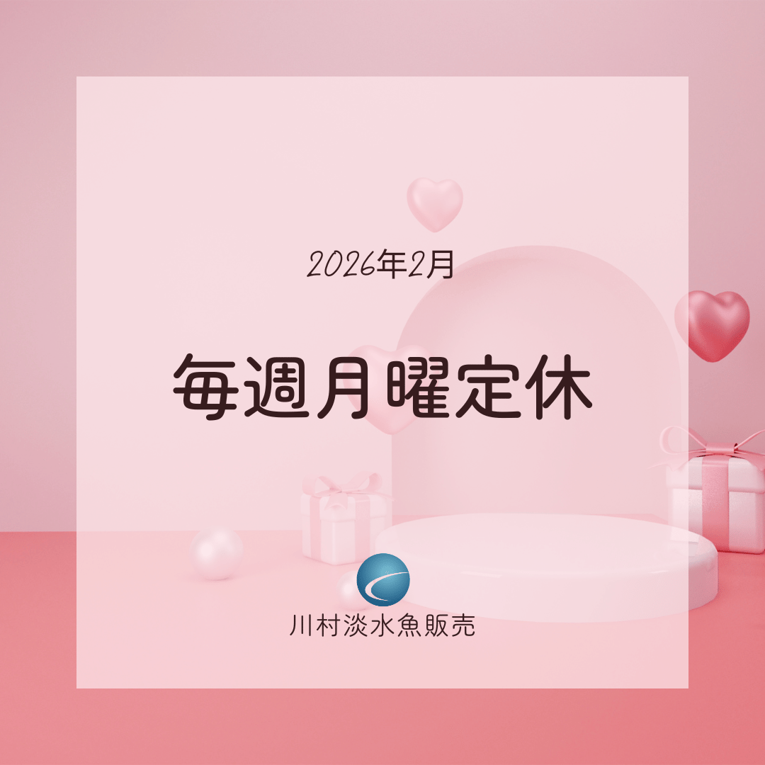 【2026年2月・カレンダー】営業案内