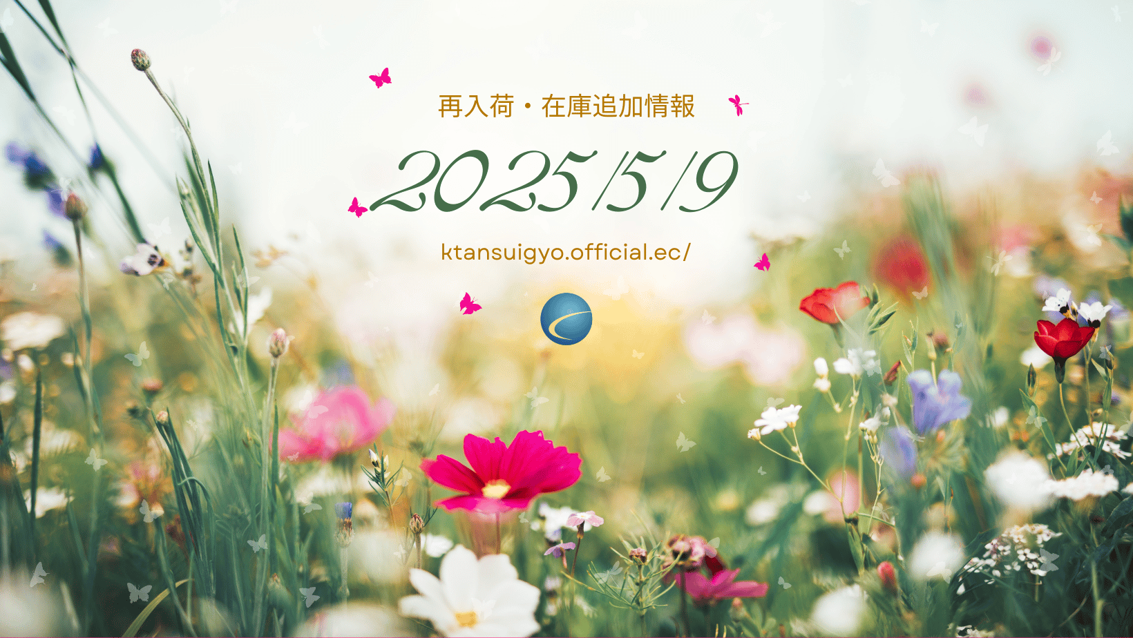 【再入荷・生体】2025年5月9日