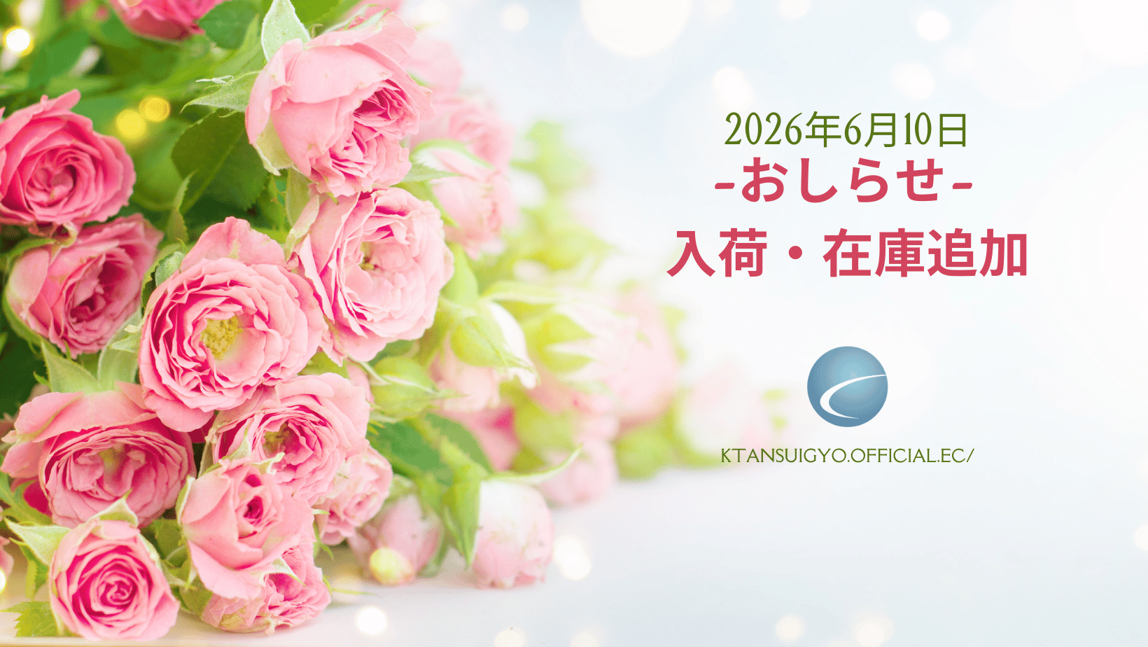 【入荷・生体】2026年6月10日