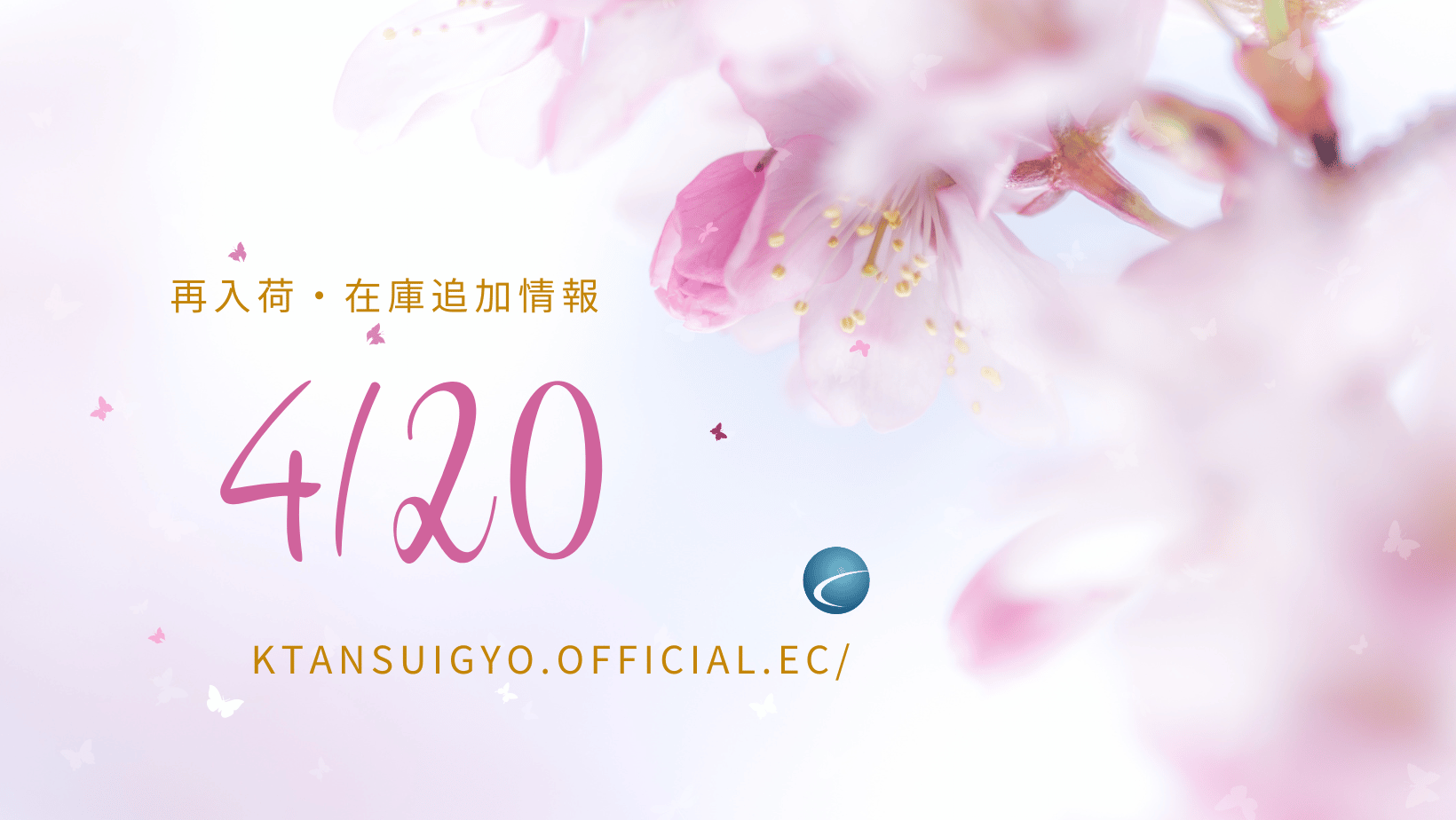 【再入荷・生体】2025年4月20日