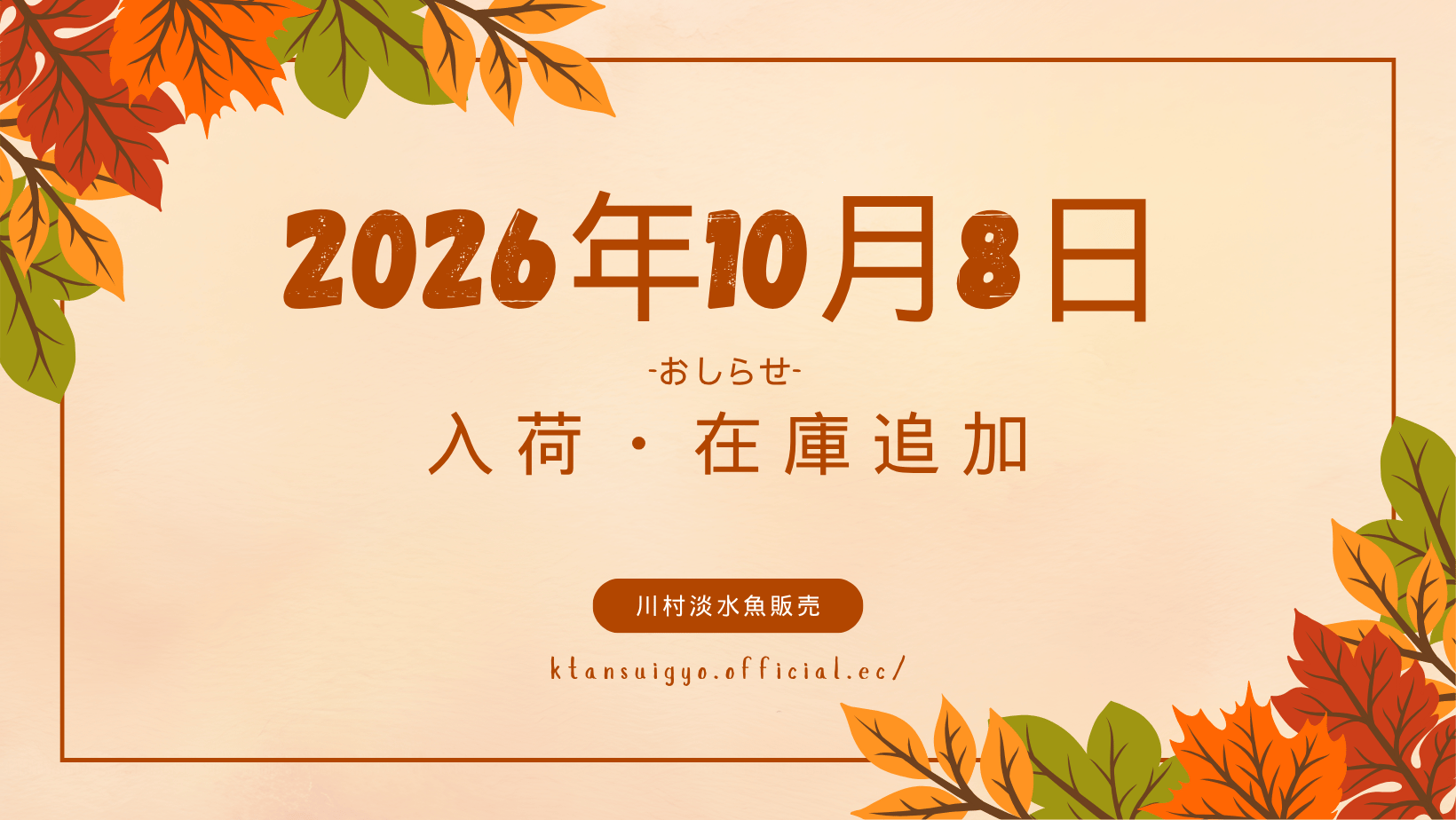 【入荷・生体】2026年10月8日