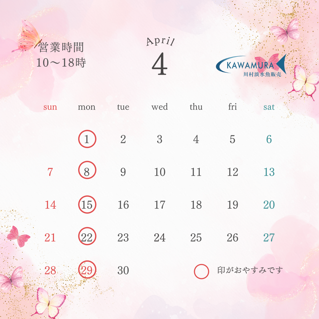【2024年4月・カレンダー】営業案内