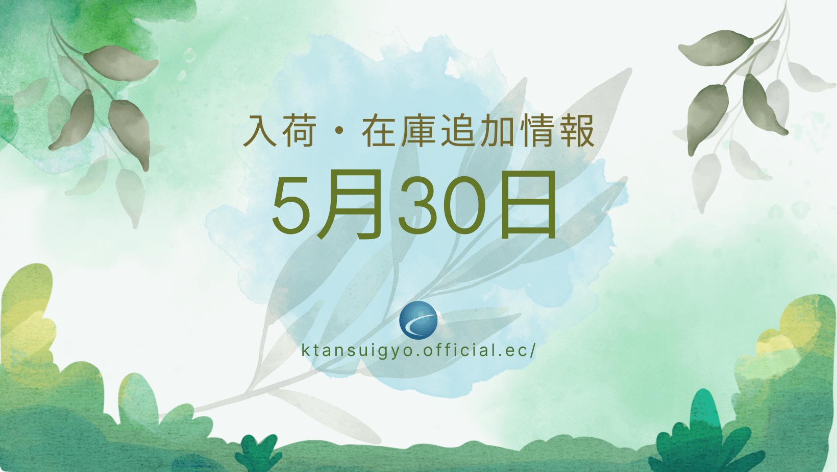【再入荷・生体】2025年5月30日