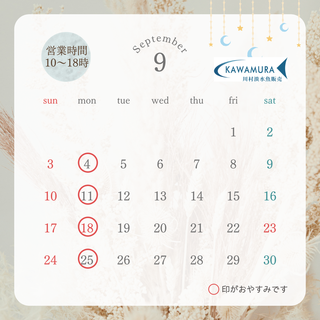 【2023年9月・カレンダー】営業案内