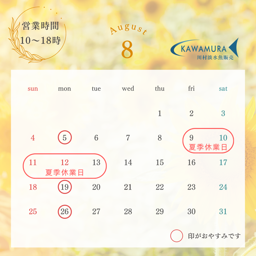 【2024年8月・カレンダー】営業案内