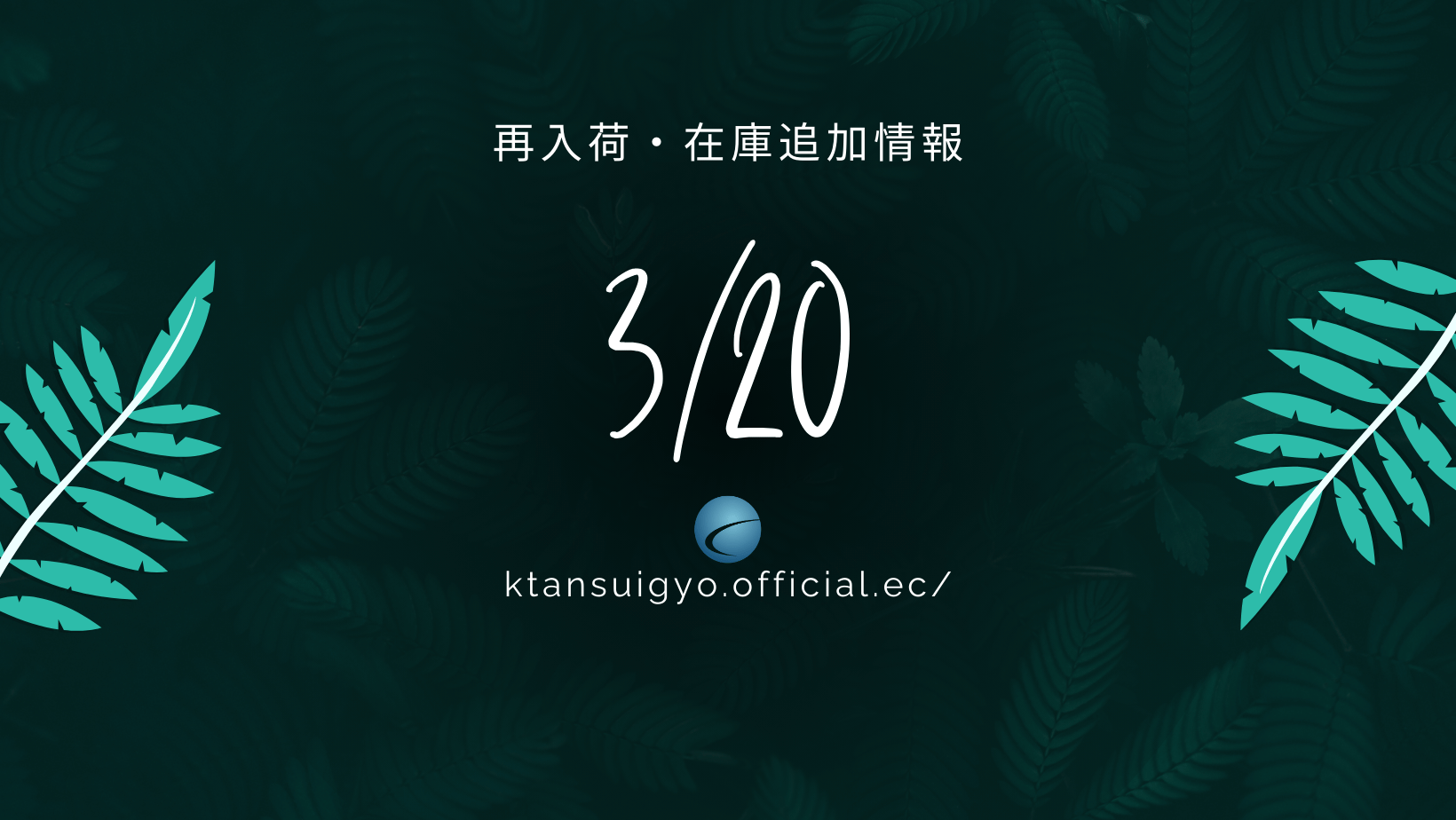 【再入荷・生体】2025年3月20日