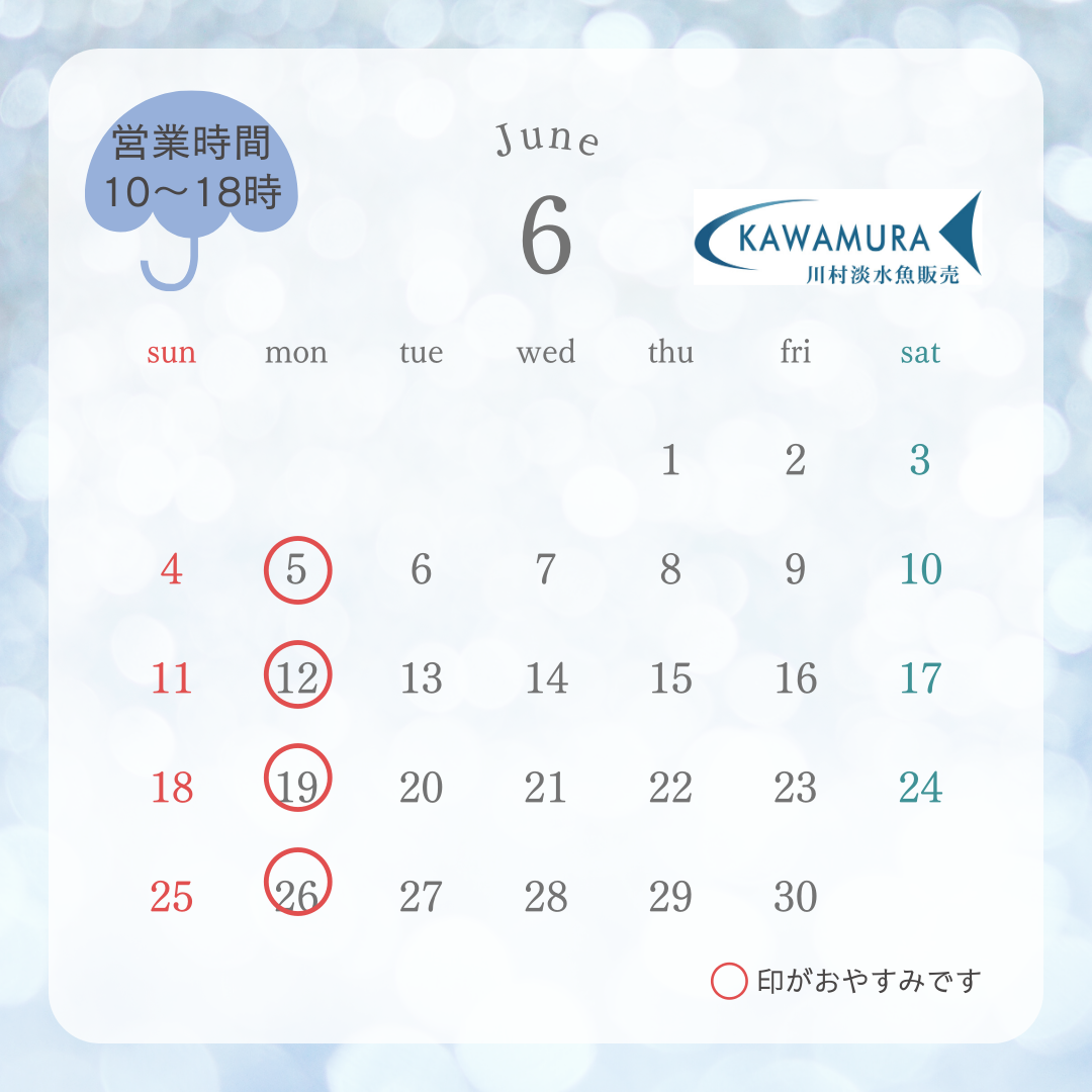 【2023年6月・カレンダー】営業案内