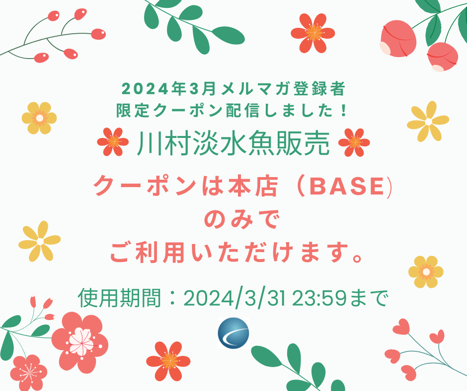 【2024年3月分・メルマガ】配信しました