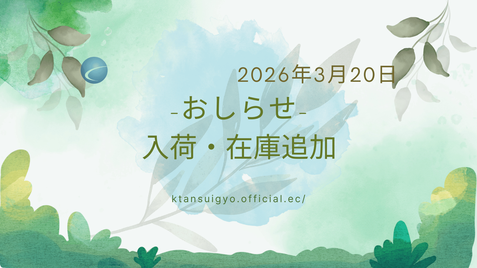【入荷・生体】2026年3月20日
