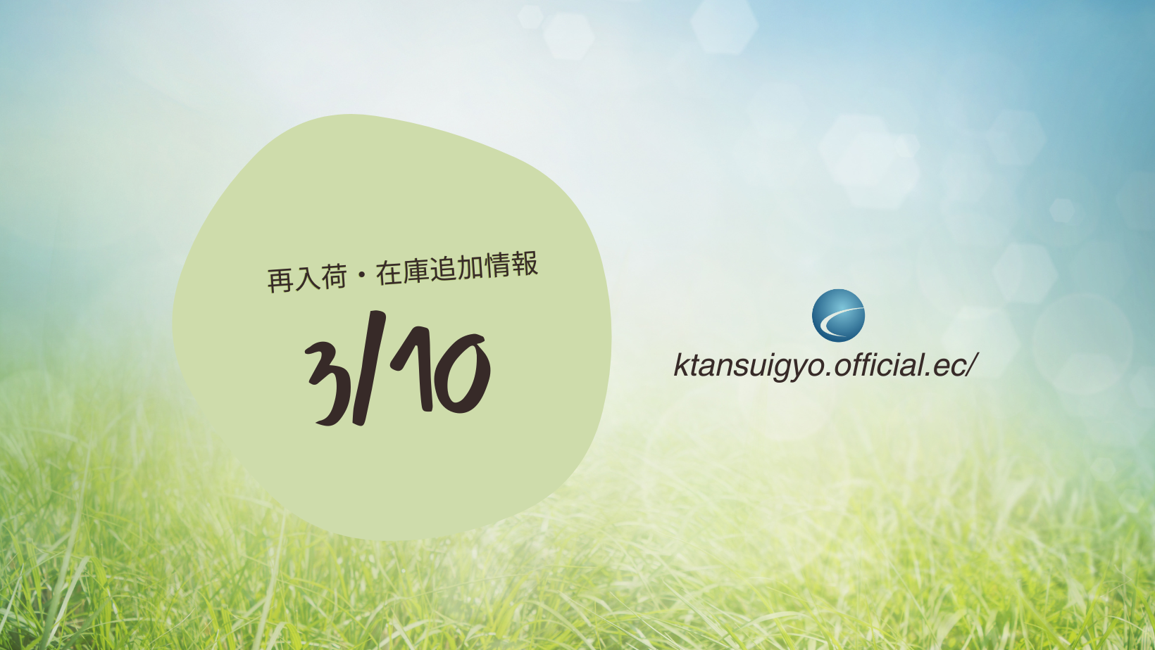 【再入荷・生体】2025年3月10日