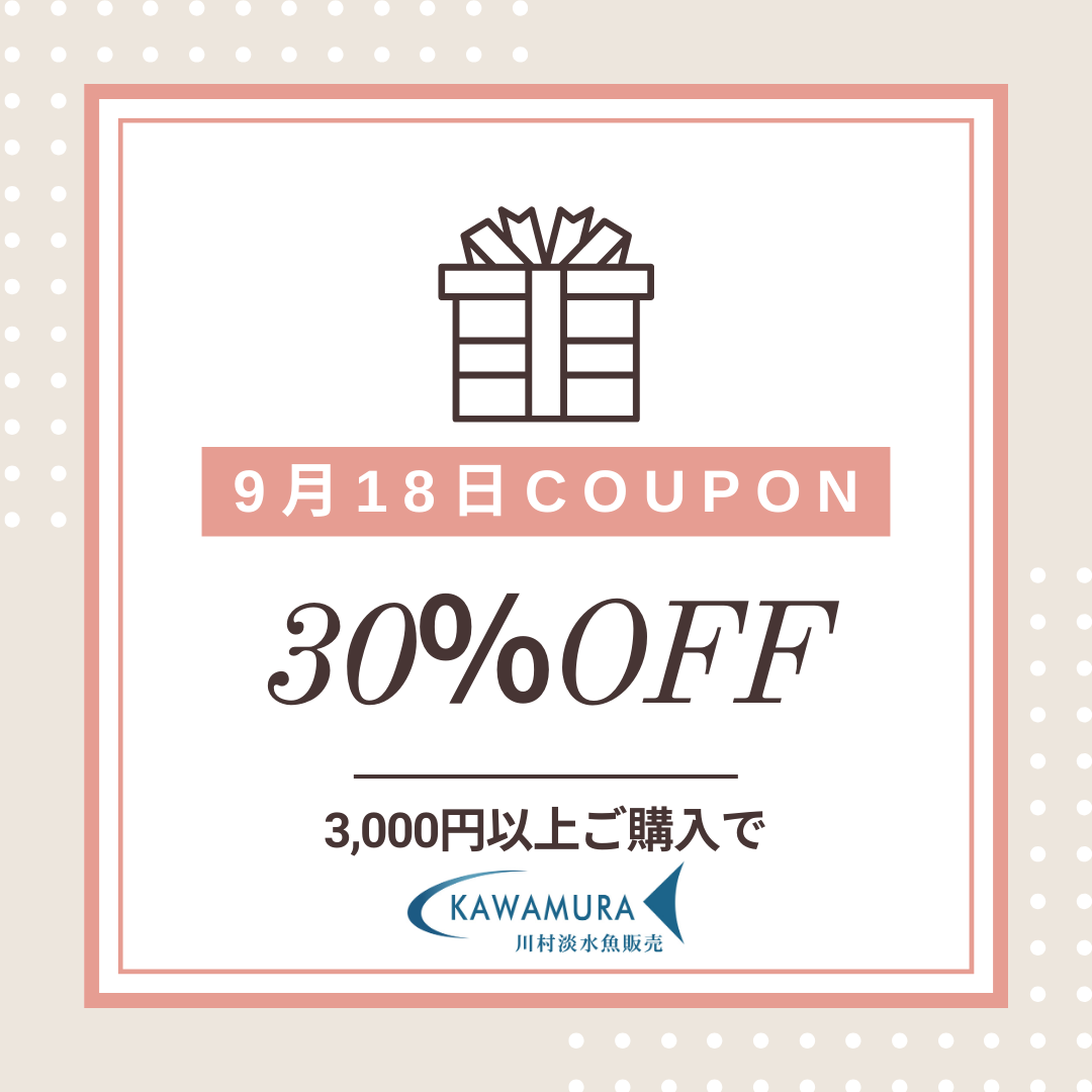 【今月の店長の日・クーポン】9月18日限定　店長クーポン　30％OFF　配布いたします