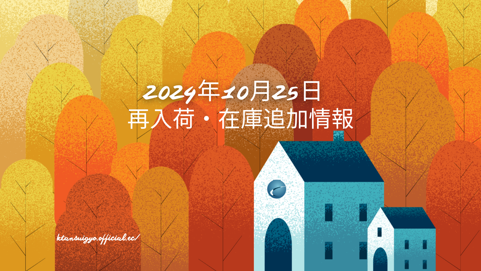 【再入荷・生体】2024年10月25日