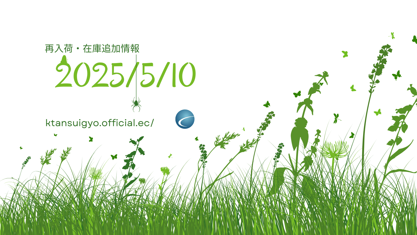 【再入荷・生体】2025年5月9日