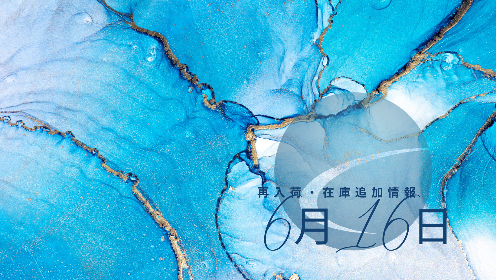 【再入荷・生体】2024年6月16日