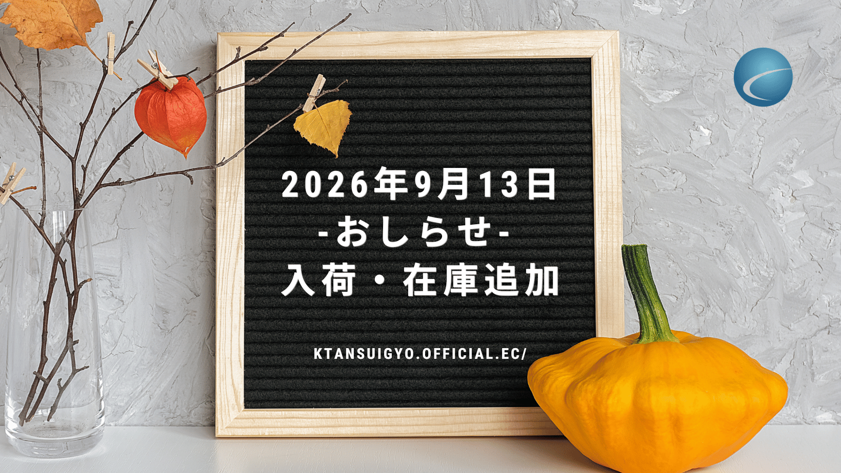 【入荷・生体】2026年9月13日