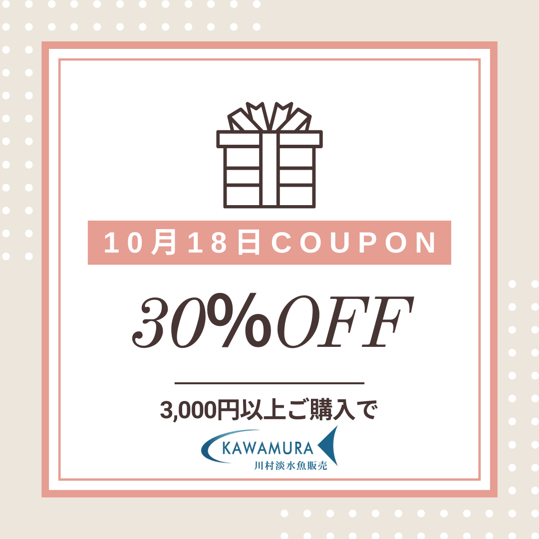 【今月の店長の日・クーポン】10月18日限定　店長クーポン　30％OFF　配布いたします