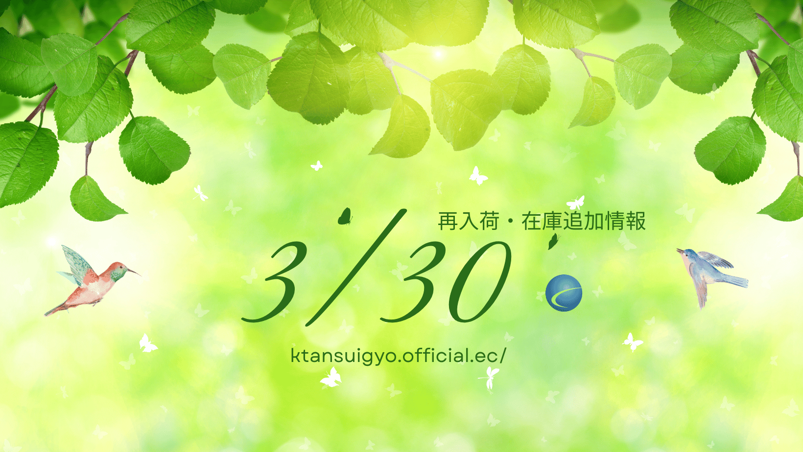 【再入荷・生体】2025年3月30日