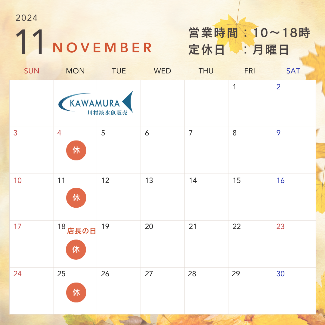 【2024年11月・カレンダー】営業案内