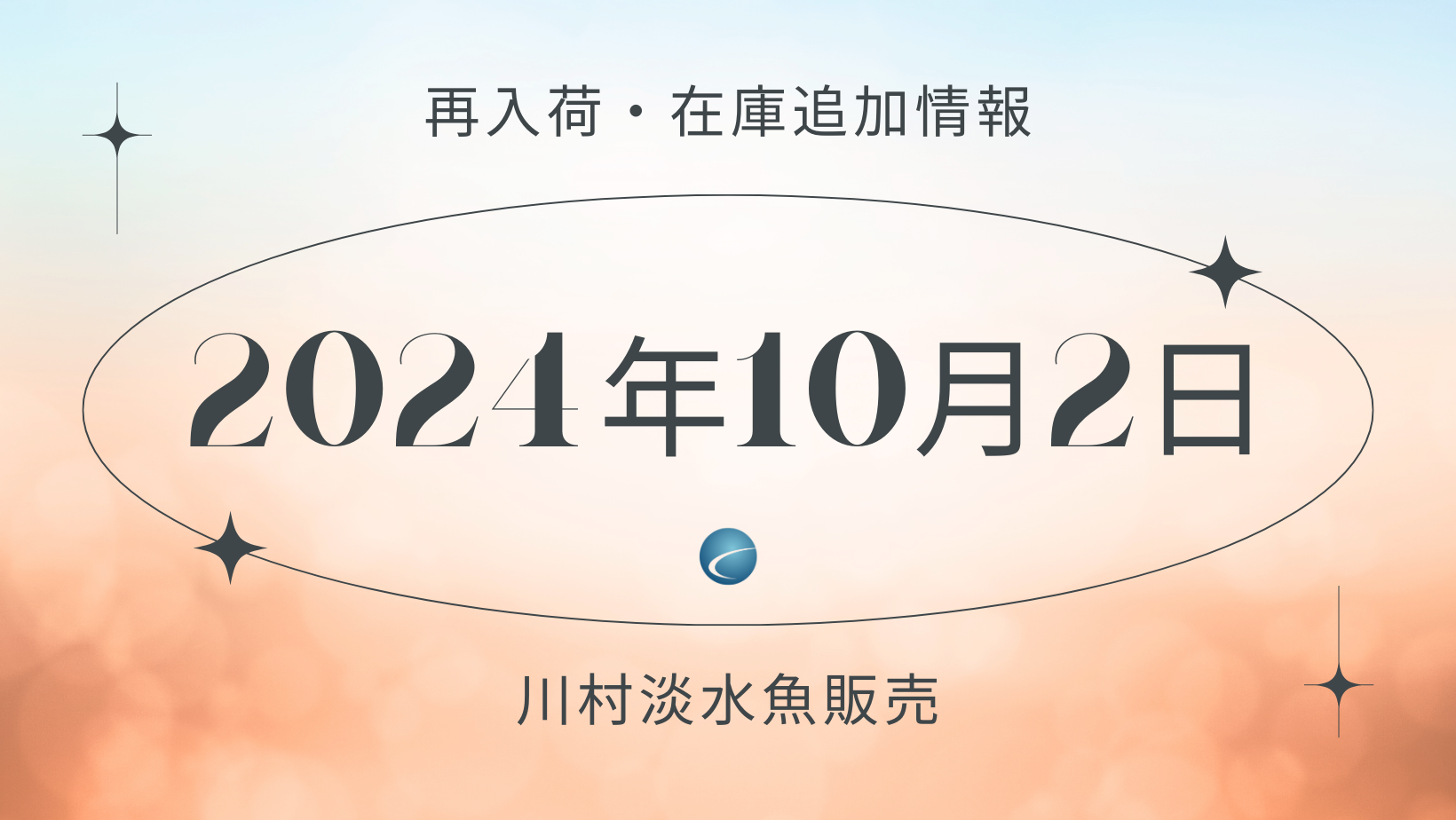 【再入荷・生体】2024年10月2日