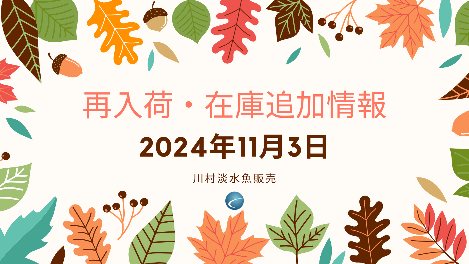 【再入荷・生体】2024年11月3日