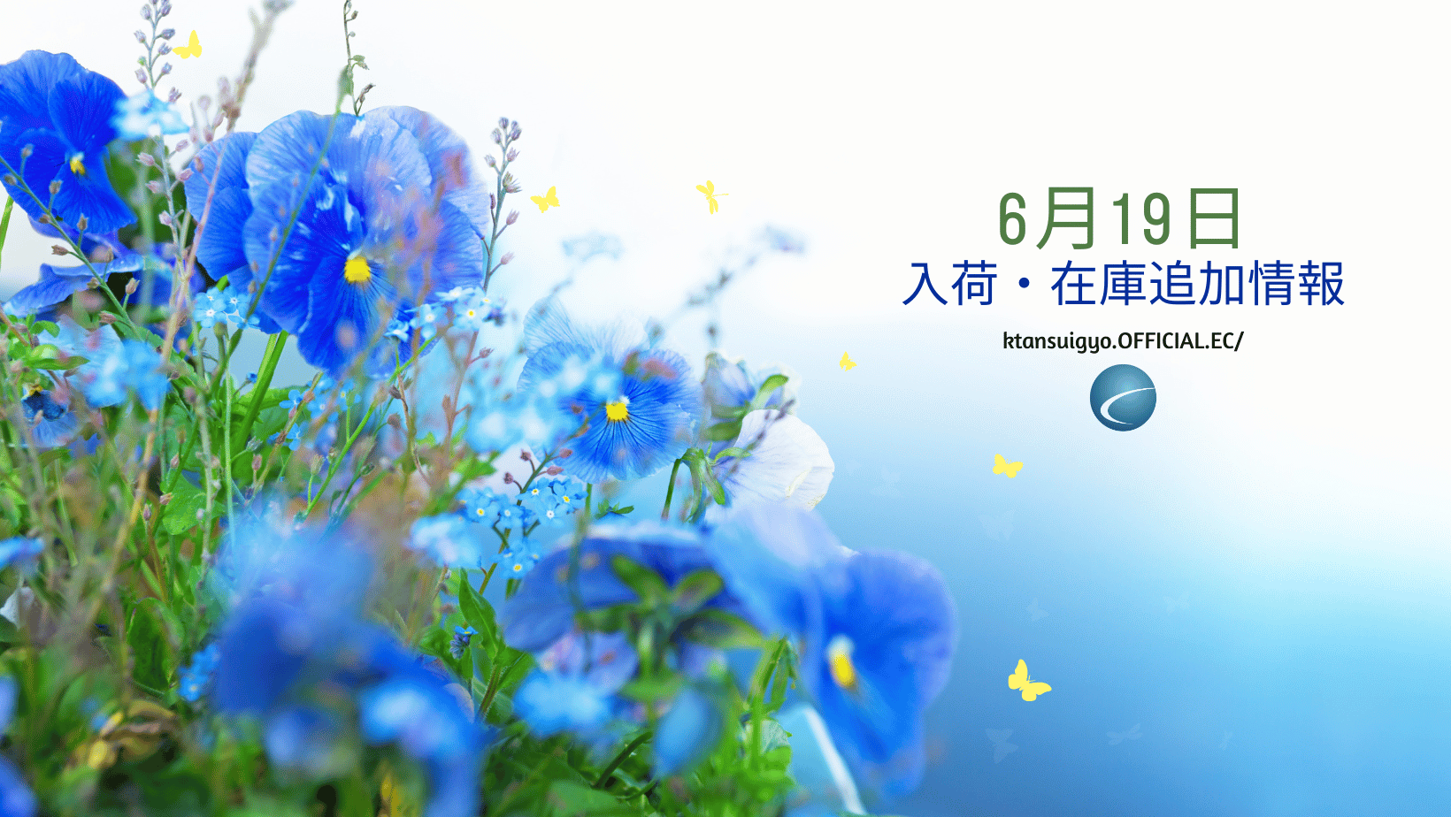 【入荷・生体】2025年6月19日