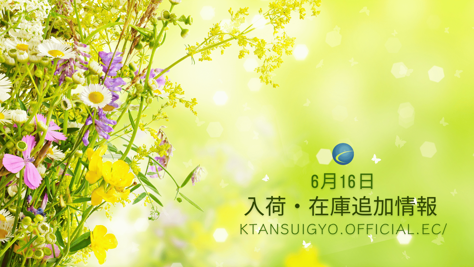 【入荷・生体】2025年6月16日