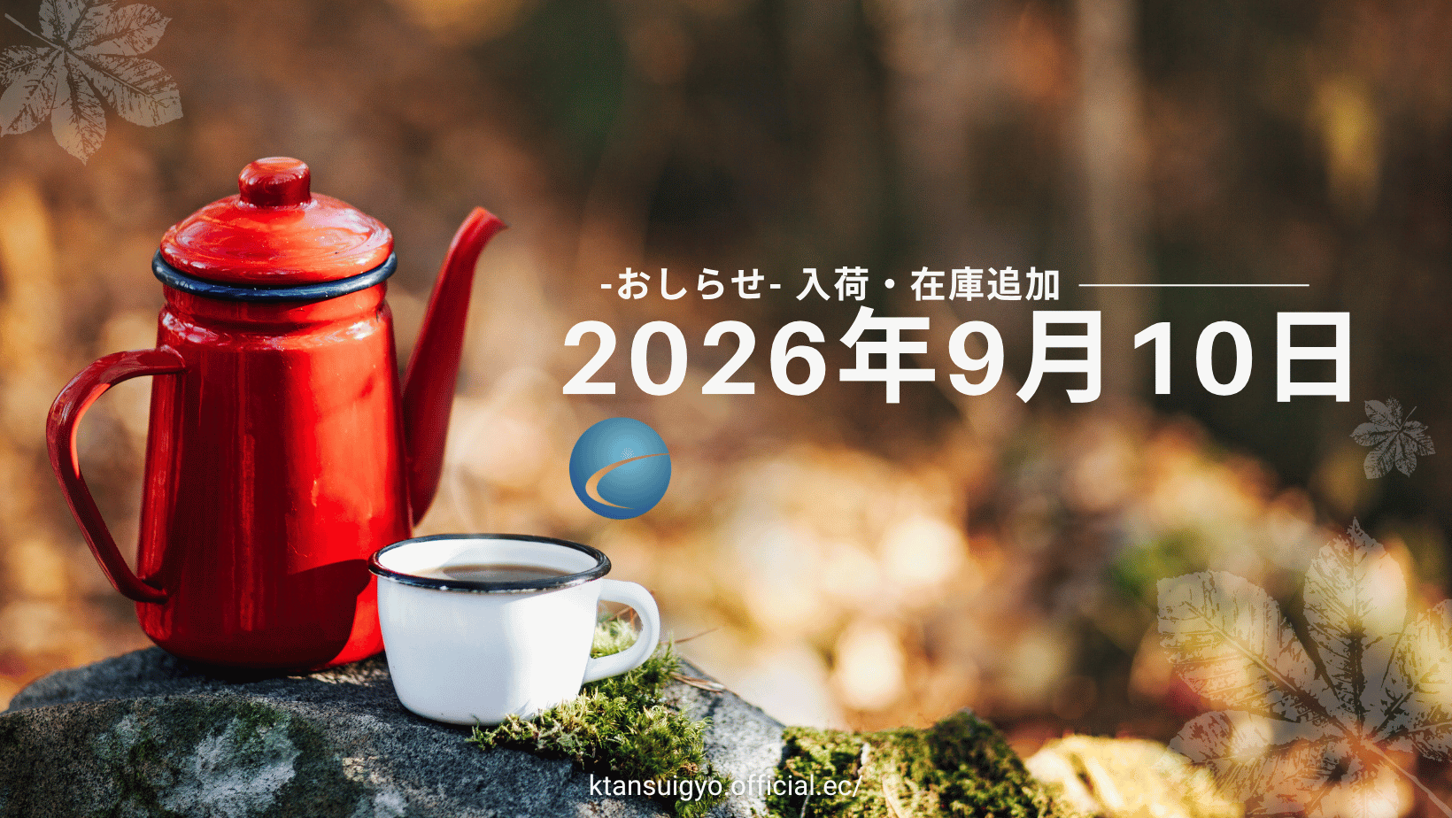 【入荷・生体】2026年9月10日