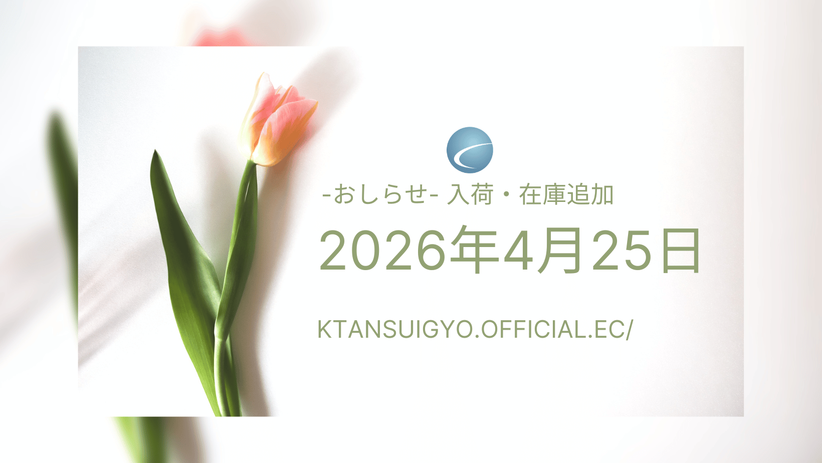 【入荷・生体】2026年4月25日