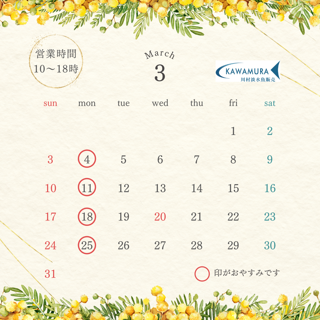 【2024年3月・カレンダー】営業案内