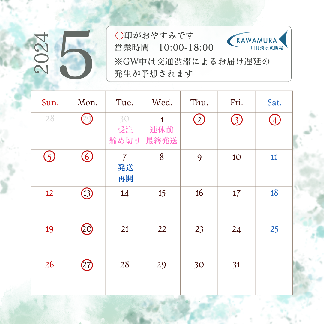 【2024年5月・カレンダー】営業案内