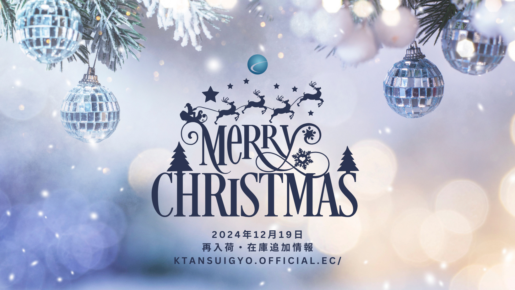 【再入荷・生体】2024年12月19日
