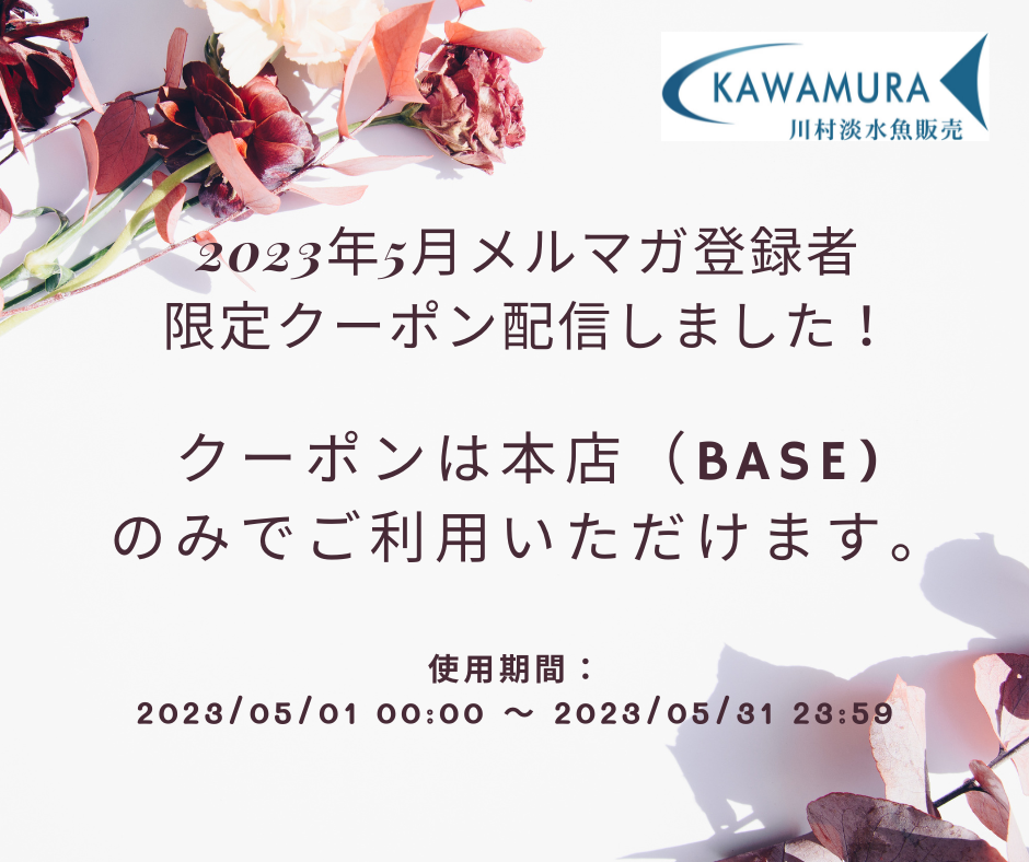 【2023年5月分・メルマガ】配信しました