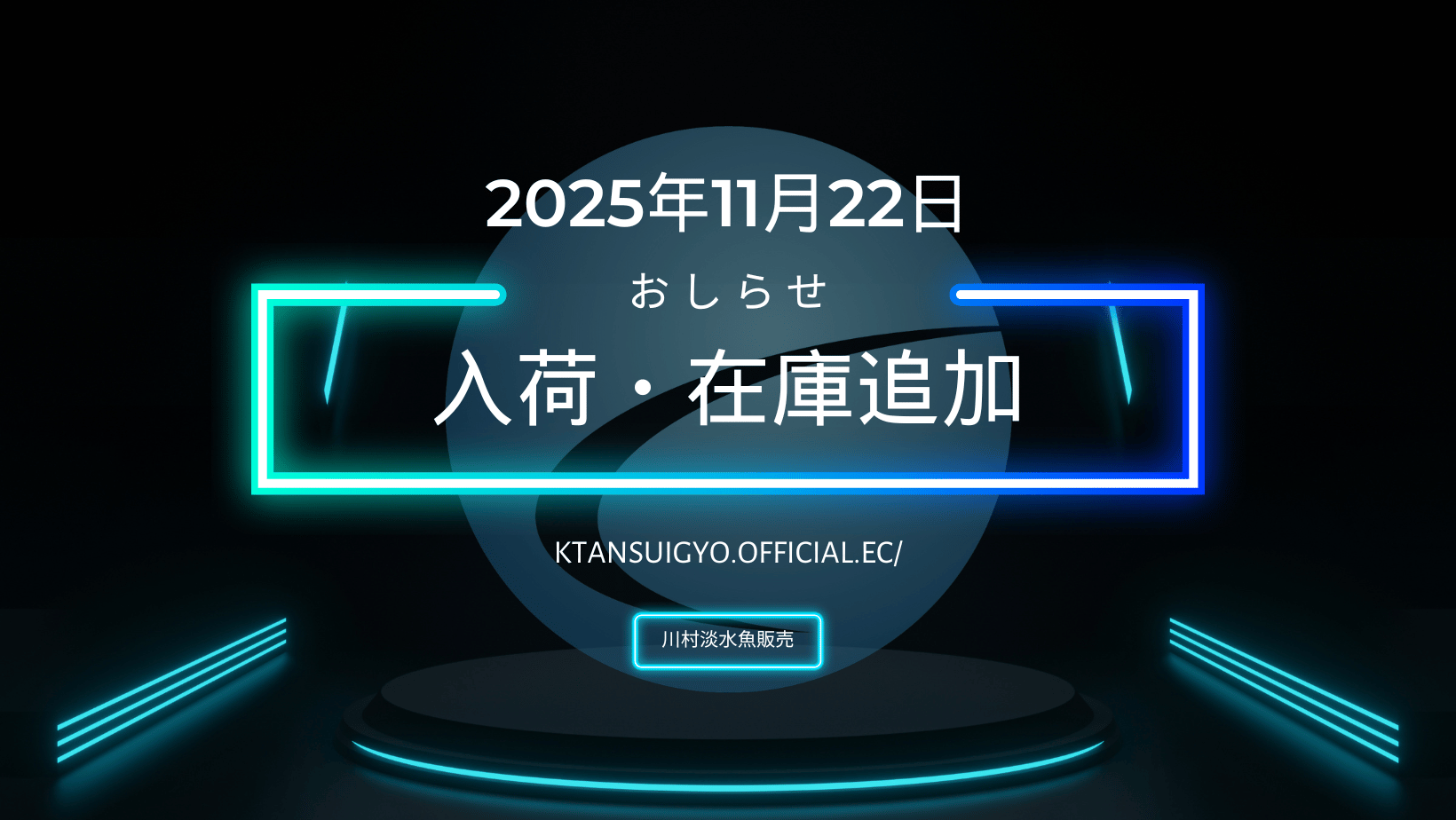 【入荷・生体】2025年11月22日