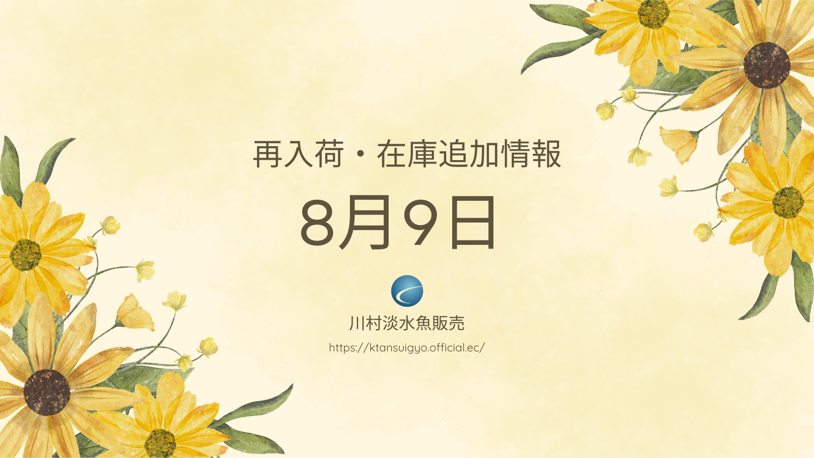 【再入荷・生体】2024年8月9日