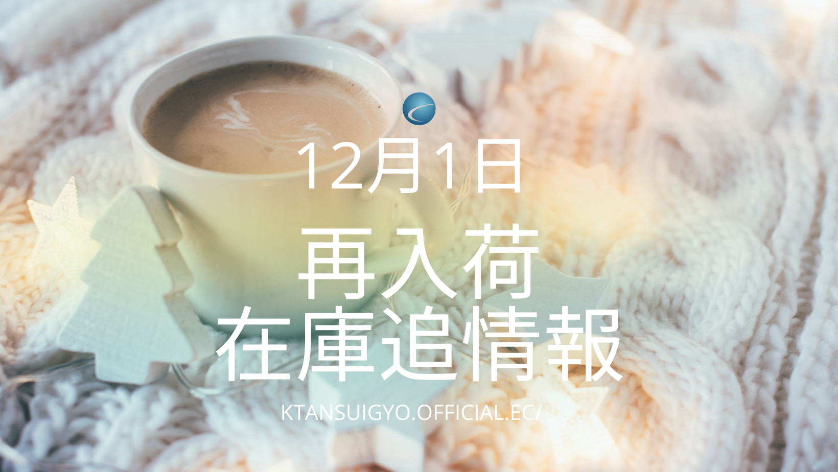 【再入荷・生体】2024年12月1日