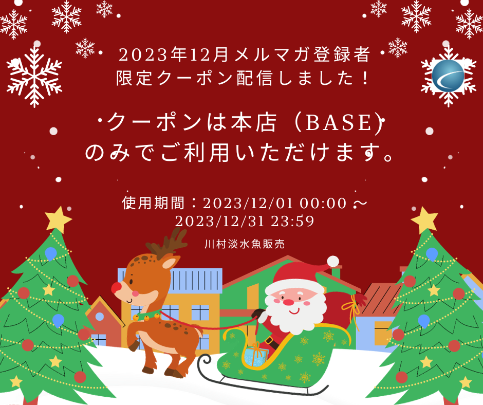 【2023年12月分・メルマガ】配信しました
