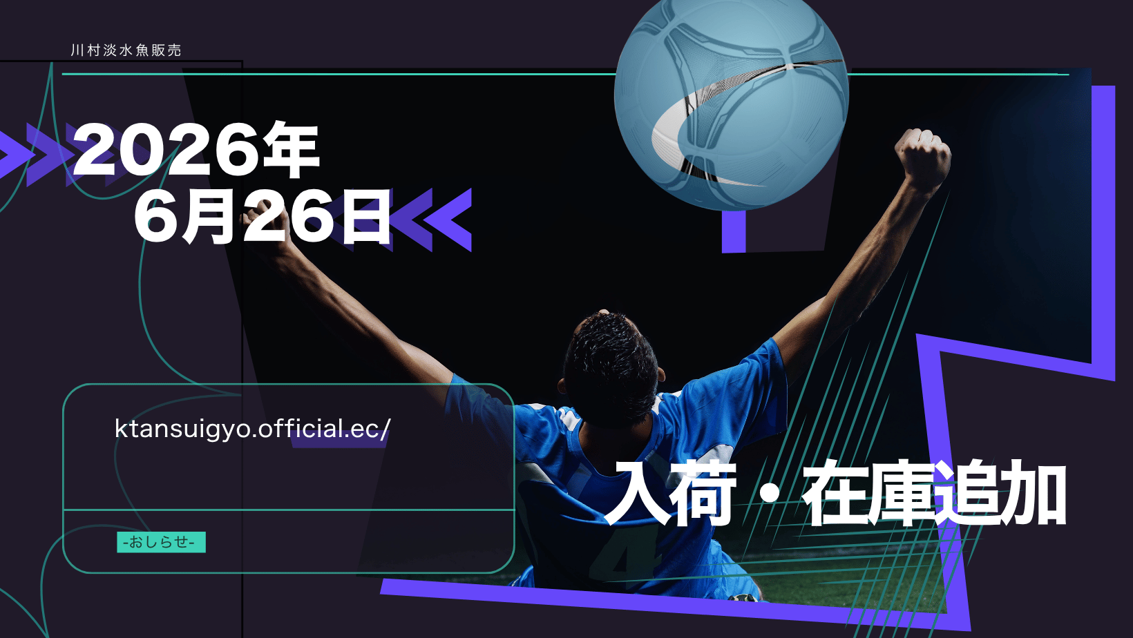 【入荷・生体】2026年6月26日