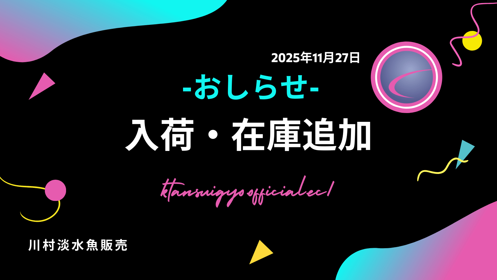 【入荷・生体】2025年11月27日
