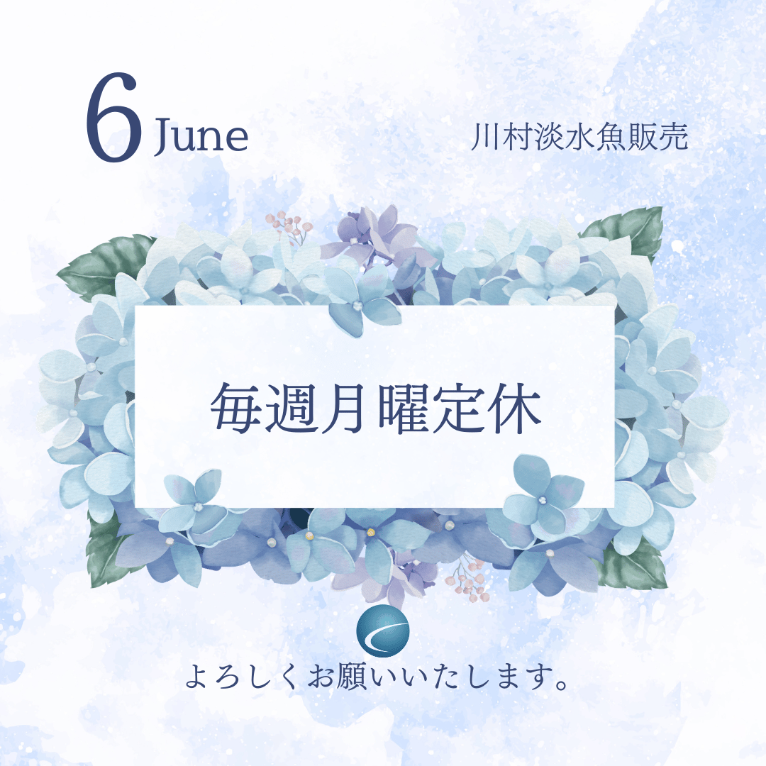 【2026年6月・カレンダー】営業案内
