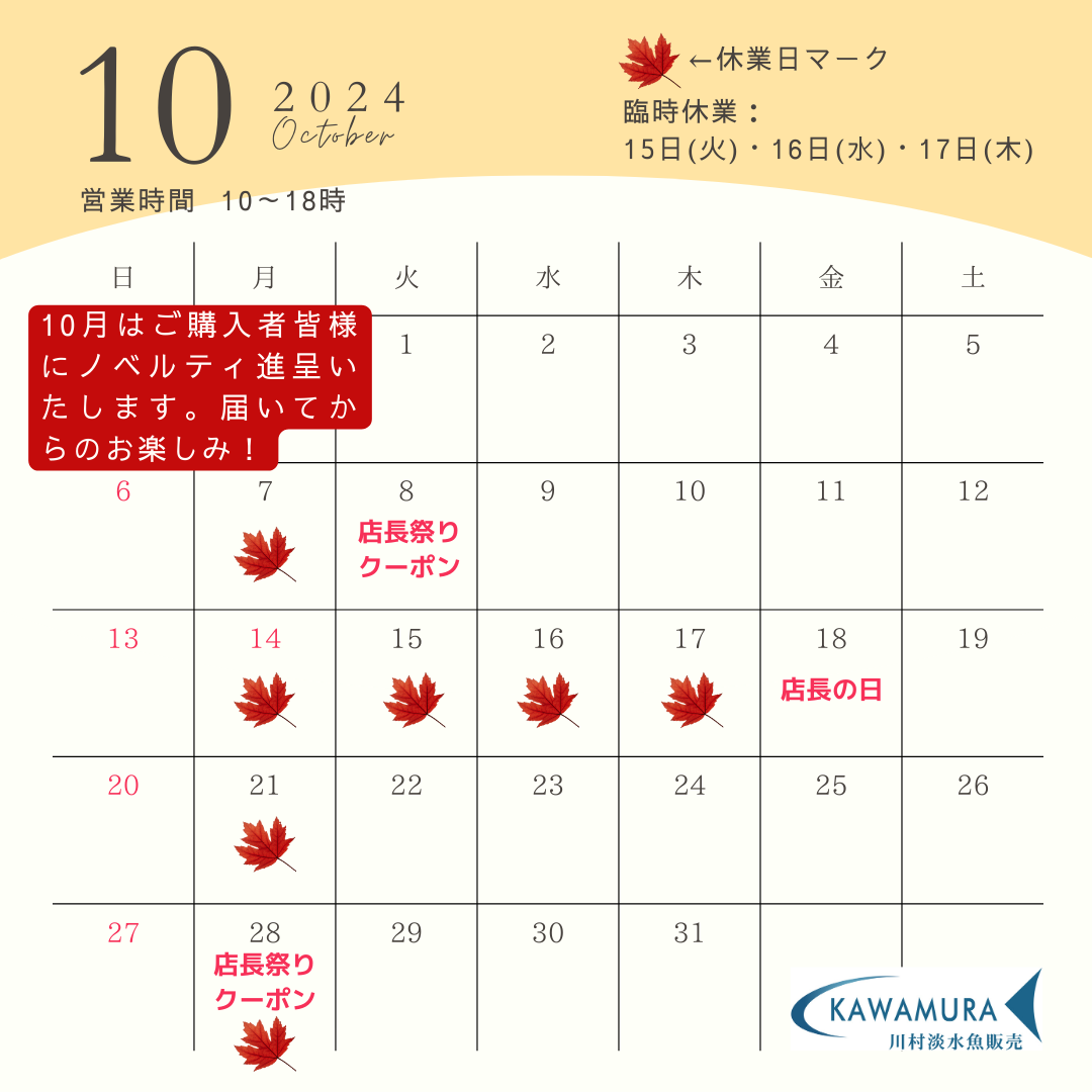 【2024年10月・カレンダー】営業案内