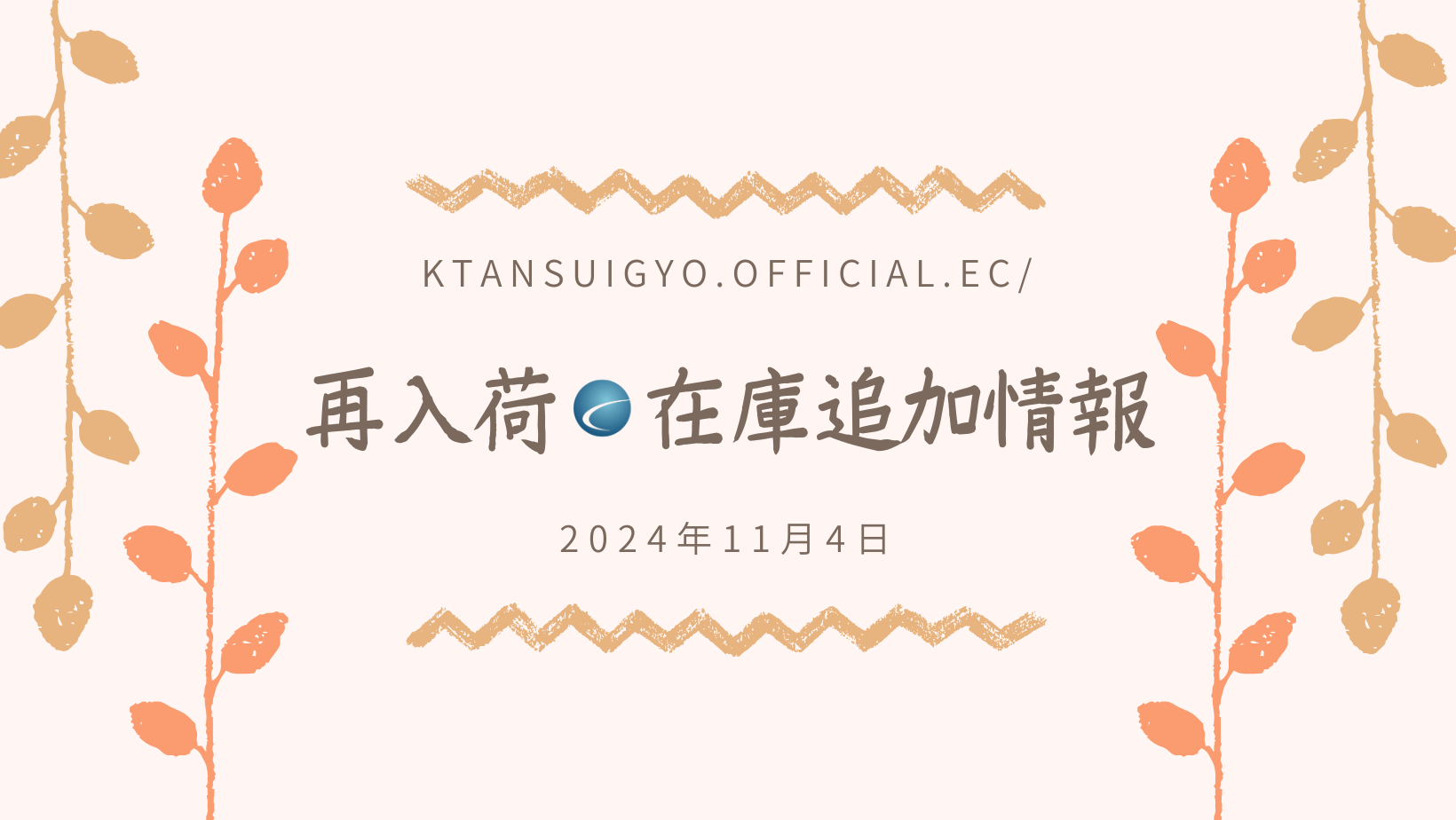 【再入荷・生体】2024年11月4日