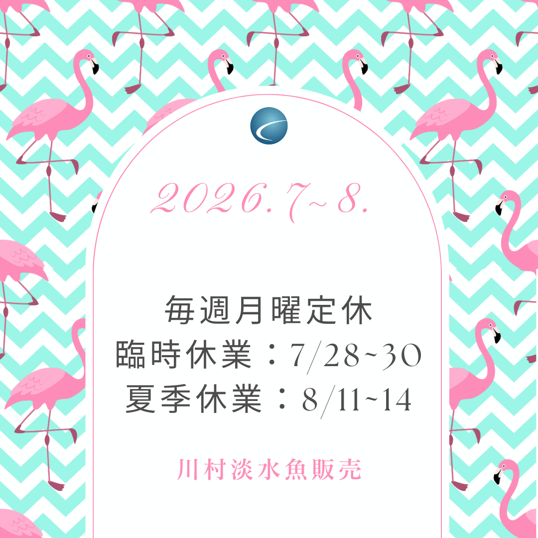 【2026年7・8月・カレンダー】営業案内