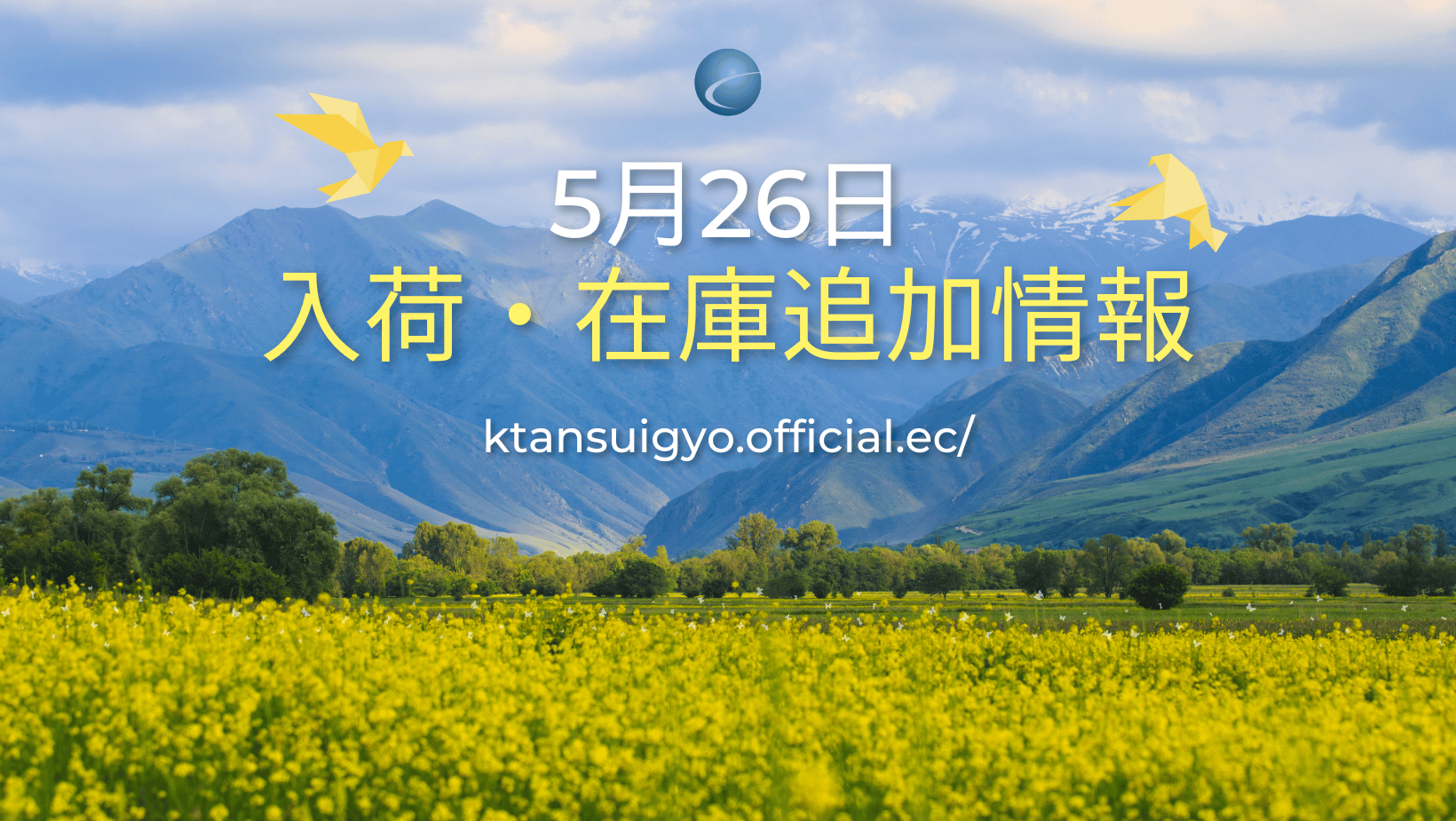 【再入荷・生体】2025年5月26日